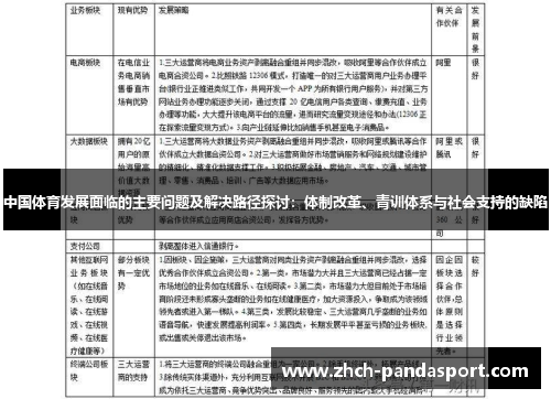 中国体育发展面临的主要问题及解决路径探讨:体制改革、青训体系与社会支持的缺陷