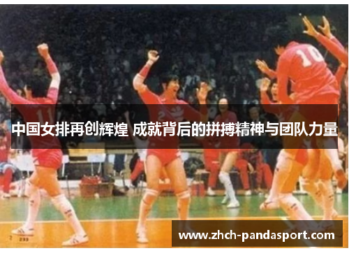 中国女排再创辉煌 成就背后的拼搏精神与团队力量