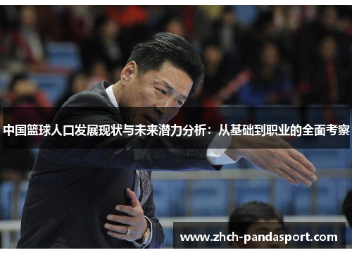 中国篮球人口发展现状与未来潜力分析:从基础到职业的全面考察