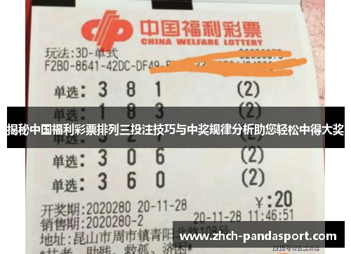 揭秘中国福利彩票排列三投注技巧与中奖规律分析助您轻松中得大奖