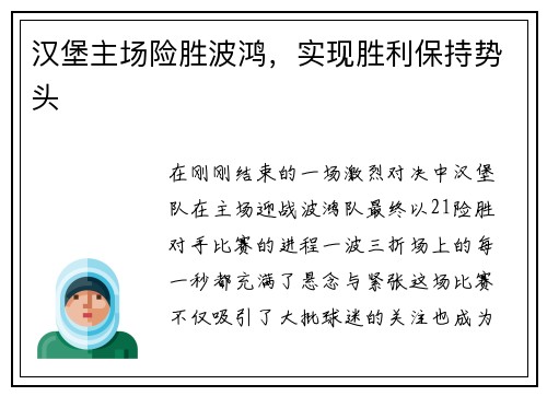 汉堡主场险胜波鸿，实现胜利保持势头